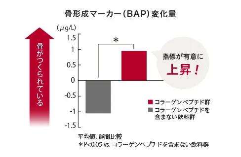 骨形成マーカー（BAP）変化量