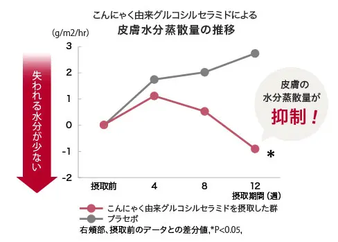 こんにゃく由来グルコシルセラミドによる皮膚水分蒸散量の推移