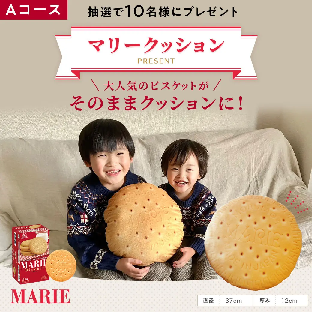 Aコース マリークッション