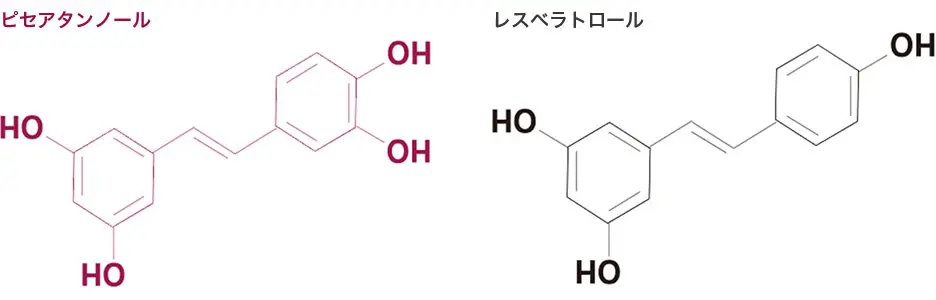 ピセアタンノール レスベラトロール
