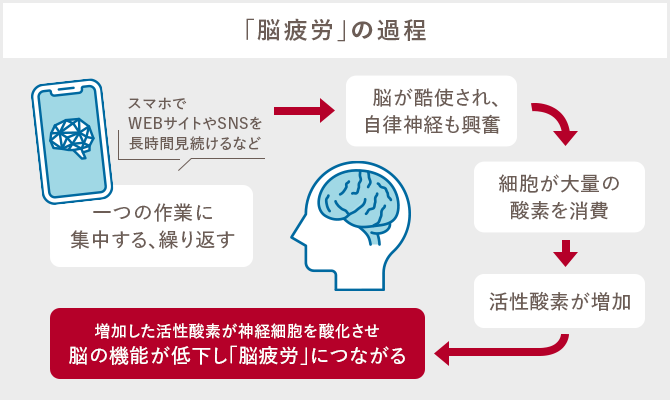 脳疲労の過程