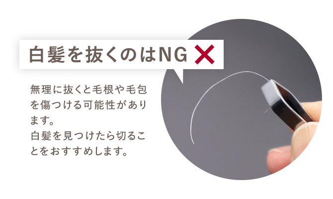 白髪を抜くのはNG 無理に抜くと毛根や毛包を傷つける可能性があります。白髪を見つけたら切ることをおすすめします。