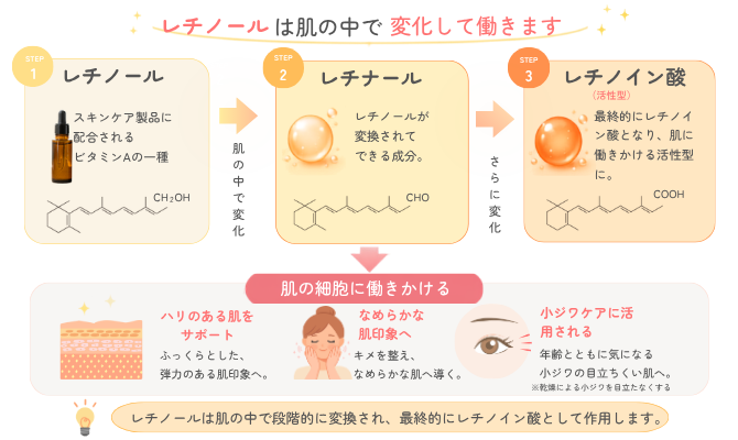 レチノールは肌の中で変化して働きます／STEP1 レチノール：スキンケア製品に配合されるビタミンAの一種／（肌の中で変化）／STEP2 レチナール：レチノールが変換されてできる成分。（さらに変化）／STEP3 レチノイン酸（活性型）／最終的にレチノイン酸となり、肌に働きかける活性型に。／肌の細胞に働きかける／ハリのある肌をサポート：ふっくらとした、弾力のある肌印象へ。／なめらかな肌印象へ：キメを整え、なめらかな肌へ導く。／小ジワケアに活用される：年齢とともに気になる小ジワの目立ちにくい肌へ。※乾燥による小ジワを目立たなくする／まとめ：レチノールは肌の中で段階的に変換され、最終的にレチノイン酸として作用します。