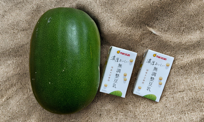 冬瓜と豆乳