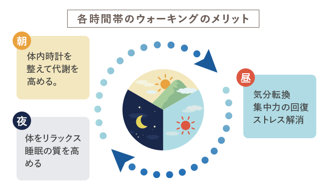 各時間帯のウォーキングのメリット 朝：体内時計を整えて代謝を高める。 昼：気分転換、集中力の回復、ストレス解消 夜：体をリラックス、睡眠の質を高める