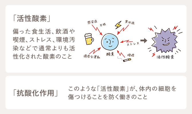 「活性酸素」偏った食生活、飲酒や喫煙、ストレス、環境汚染などで通常よりも活性化された酸素のこと 「抗酸化作用」このような「活性酸素」が、体内の細胞を傷つけることを防ぐ働きのこと