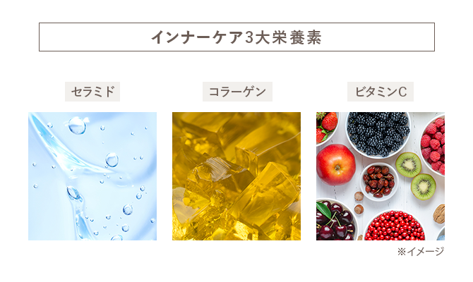 インナーケア3大要素、セラミド、コラーゲン、ビタミンC