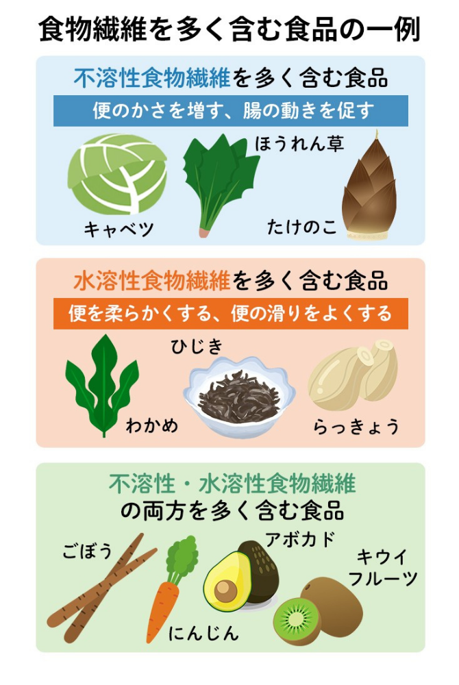【食物繊維を多く含む食品の一例】不溶性食物繊維を多く含む食品（便のかさを増す、腸の動きを促す）キャベツ、ほうれん草、たけのこ　水溶性食物繊維を多く含む食品（便を柔らかくする、便の滑りをよくする）わかめ、ひじき、らっきょう　不溶性・水溶性食物繊維の両方を多く含む食品　ごぼう、にんじん、アボカド、キウイフルーツ