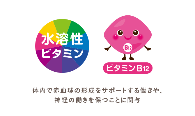 ビタミンB12 体内で赤血球の形成をサポートする働きや、神経の働きを保つことに関与