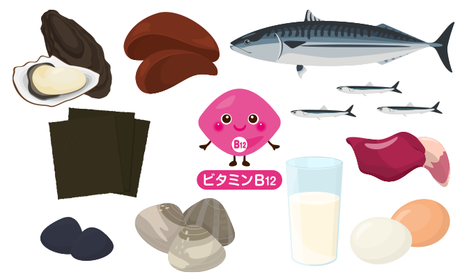 ビタミンB12を含む食材
