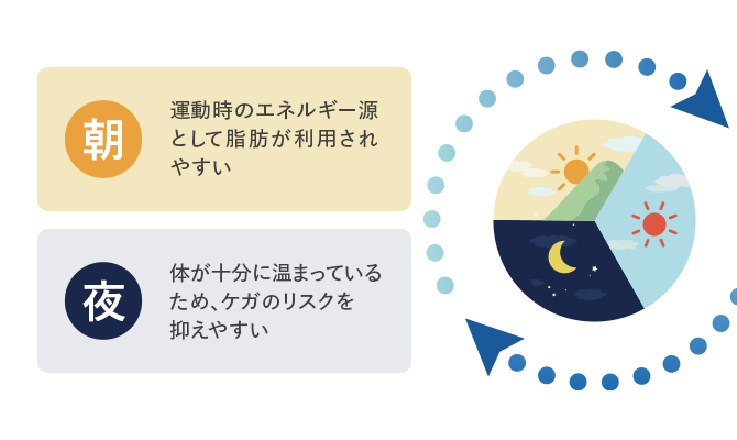 朝：運動時のエネルギー源として脂肪が利用されやすい／夜：体が十分に温まっているため、ケガのリスクを抑えやすい