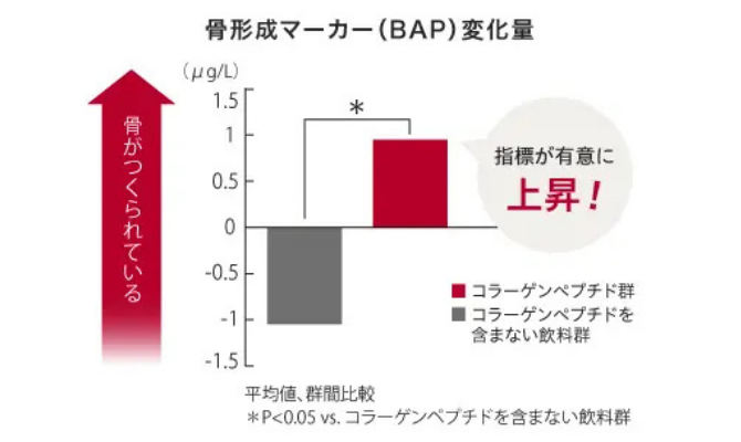 【骨形成マーカー(BAP)変化量】骨がつくられている／コラーゲンペプチド群がコラーゲンペプチドを含まない飲料群に比べて指標が有意に上昇！