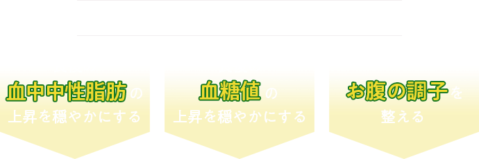 食後の血中中性脂肪の上昇を穏やかにする 「難消化性デキストリン」のはたらきで 食後の血糖値の上昇を穏やかにする お腹の調子を整える