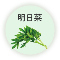 明日菜