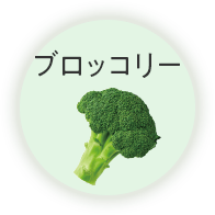 ブロッコリー