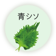 青シソ