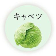 キャベツ