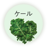 ケール