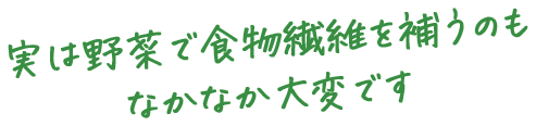 実は野菜で食物繊維を補うのもなかなか大変です