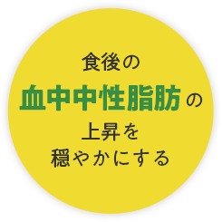 食後の血中中性脂肪の上昇を穏やかにする