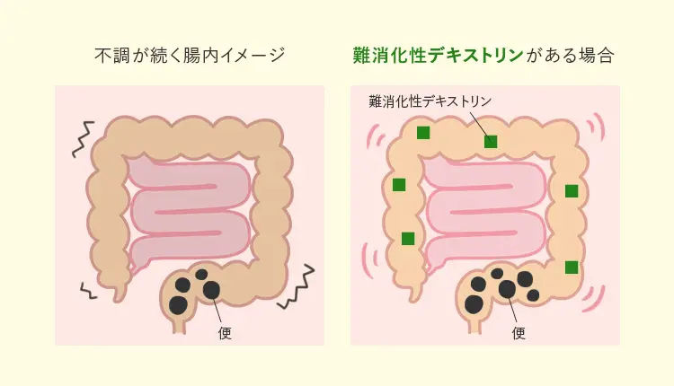 難消化性デキストリンがある場合の腸のイメージ