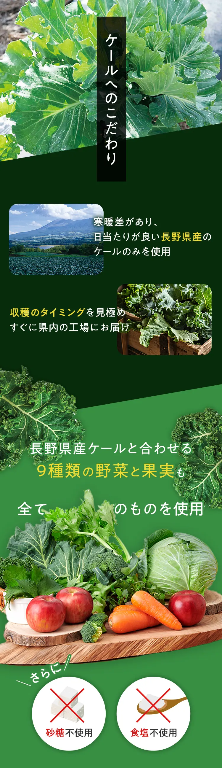 ケールへのこだわり 寒暖差があり、 日当たりが良い長野県産のケールのみを使用 収穫のタイミングを見極め すぐに県内の工場にお届け  長野県産ケールと合わせる 9種類の野菜と果実も 全て国産のものを使用