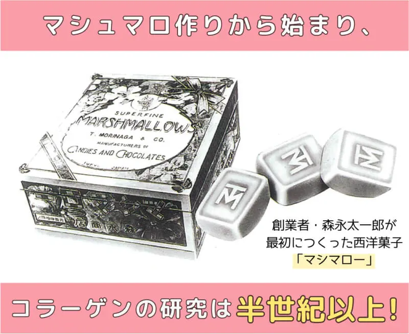 マシュマロ作りから始まり、コラーゲンの研究は半世紀以上！