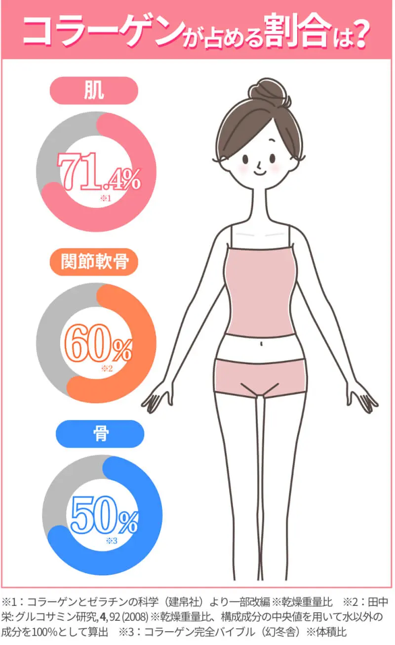 コラーゲンが占める割合は？肌71.4% 関節軟骨60% 骨50%