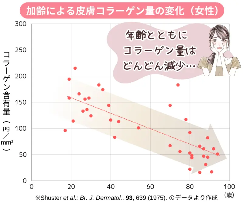 皮膚のコラーゲン量の推移