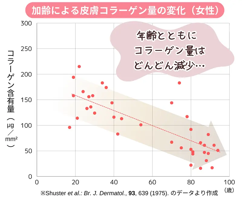 加齢による皮膚コラーゲン量の変化（女性）