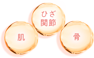 肌・ひざ関節・骨