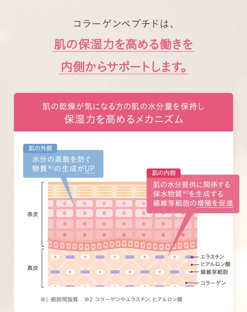 コラーゲンペプチドは、肌の保湿力を高める働きを内側からサポートします。