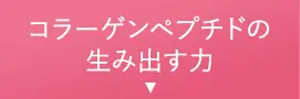コラーゲンペプチドの生み出す力