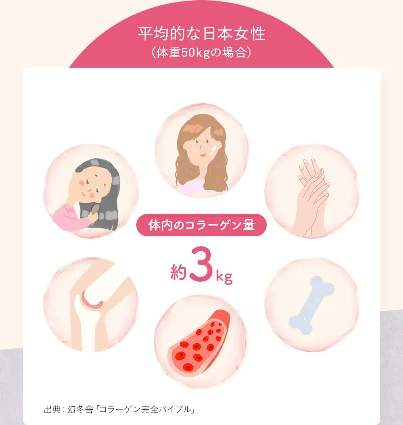平均的な日本女性　体内のコラーゲン量 約3kg