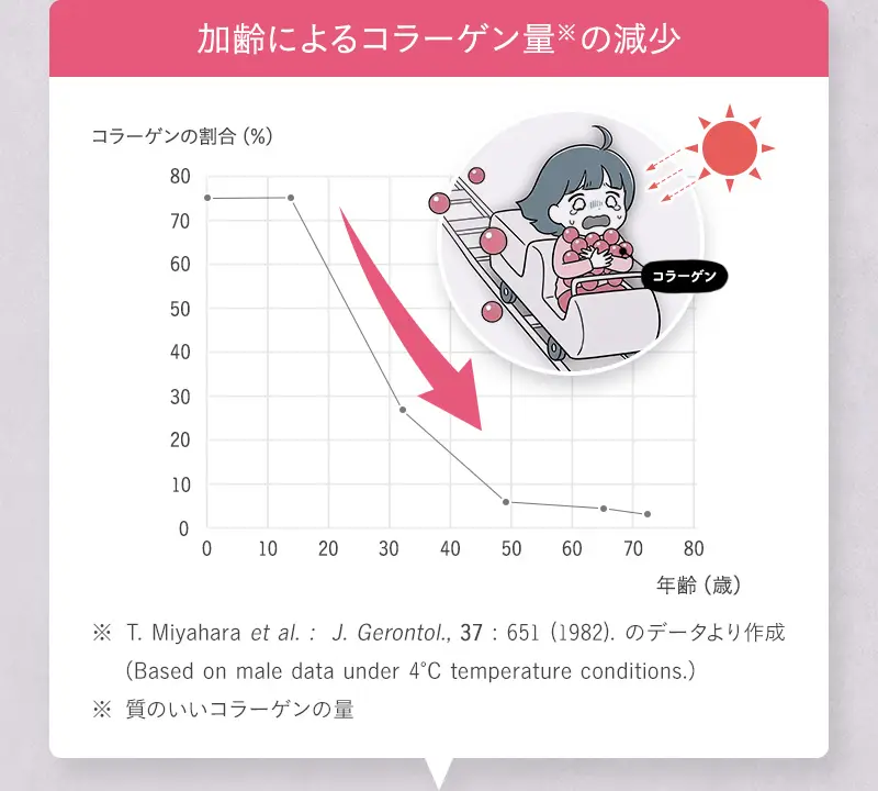 加齢によるコラーゲン量の減少