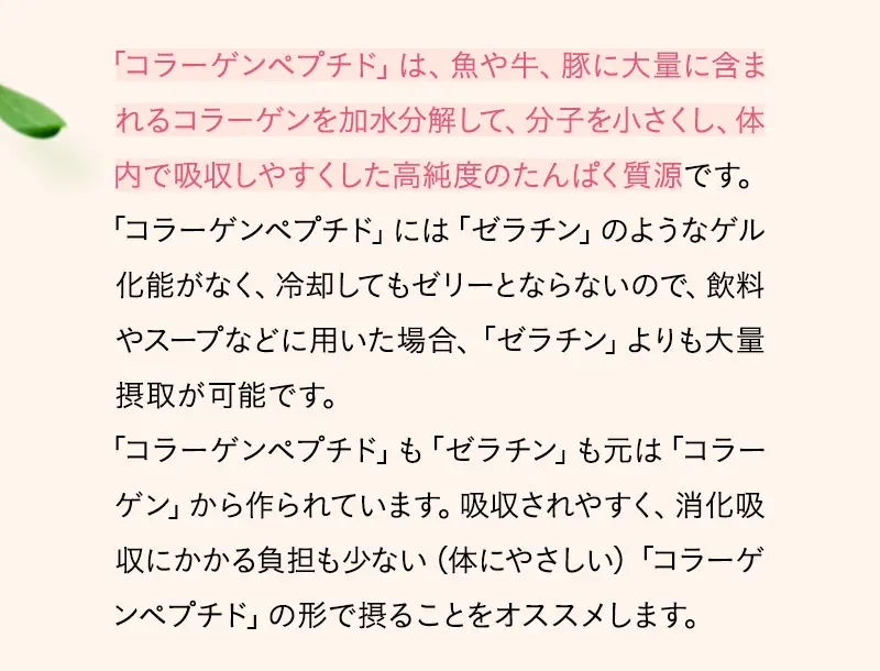 「コラーゲンペプチド」は、魚や牛、豚に大量に含まれるコラーゲンを加水分解して、分子を小さくし、体内で吸収しやすくした高純度のたんぱく質源です。