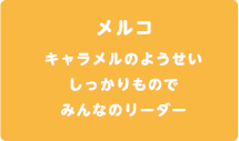 メルコ　キャラメルのようせい　しっかりものでみんなのリーダー