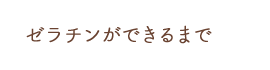 ゼラチンができるまで