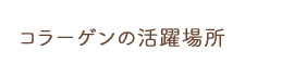 コラーゲンの活躍場所