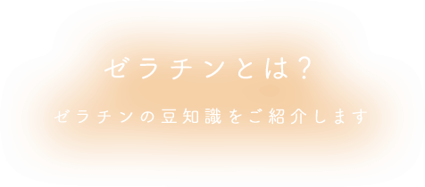 ゼラチンとは？ ゼラチンの豆知識をご紹介します