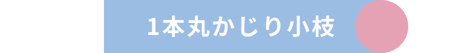 1本丸かじり小枝