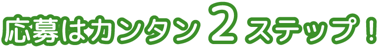 応募はカンタン2ステップ