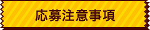 応募注意事項