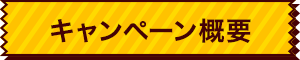 キャンペーン概要