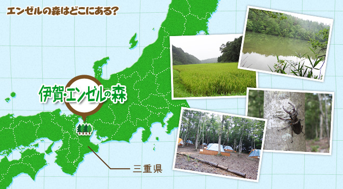 エンゼルの森はどこにある?