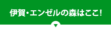 伊賀・エンゼルの森はここ！