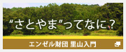 ”さとやま”ってなに？ エンゼル財団　里山入門