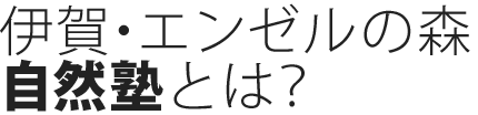 伊賀・エンゼルの森 自然塾とは？