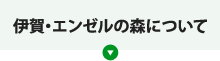 伊賀・エンゼルの森について