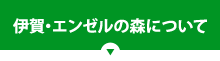 伊賀・エンゼルの森について